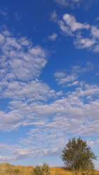 Similar image 22592927