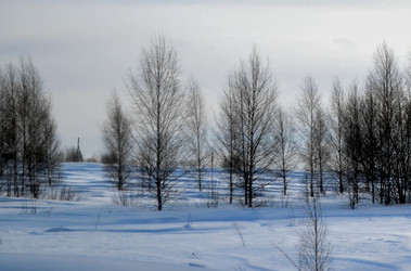 Similar image 22593093