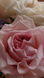 Similar image 22592929