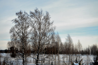 Similar image 22593137