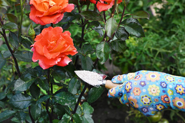 Similar image 22593030