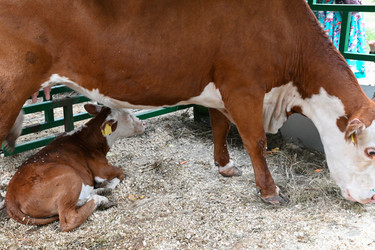 Similar image 22593032