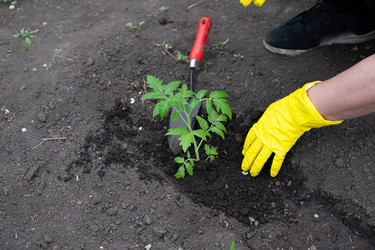 Similar image 22593038