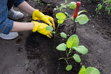 Similar image 22593039