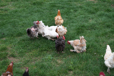 Similar image 22593040