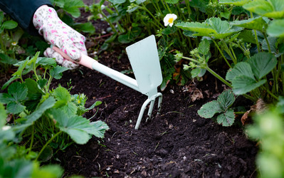 Similar image 22593041