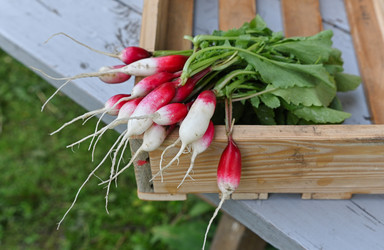 Similar image 22593044