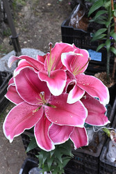 Similar image 22593045