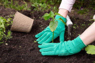 Similar image 22593046