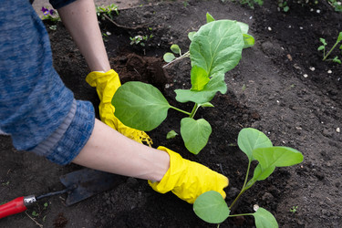 Similar image 22593047