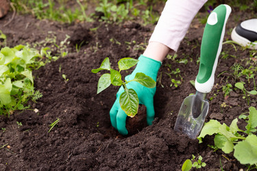 Similar image 22593048