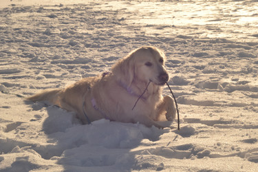 Similar image 22592983