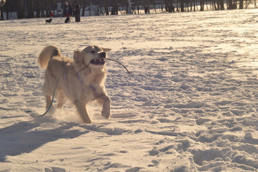 Similar image 22592984