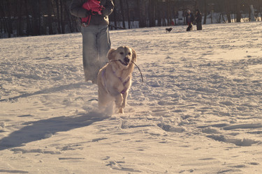 Similar image 22592985