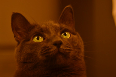 Similar image 22592987