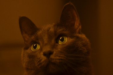 Similar image 22592988