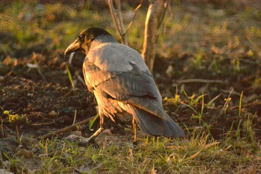 Similar image 22594530