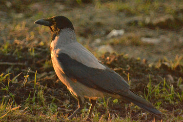 Similar image 22594531