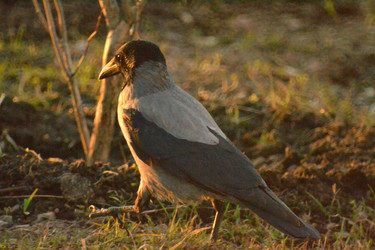 Similar image 22594548