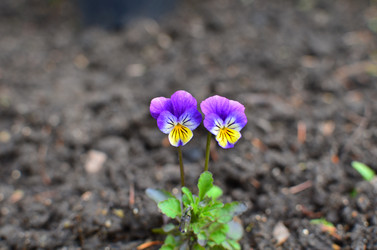 Similar image 22594749