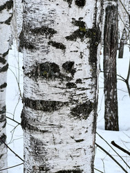 Similar image 22594705