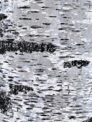 Similar image 22594709