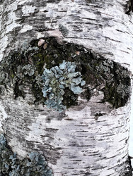 Similar image 22594721