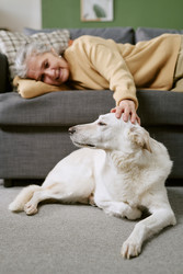 Similar image 22531561