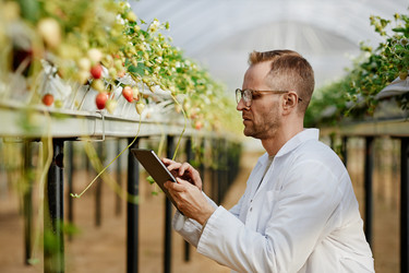 Similar image 22527972