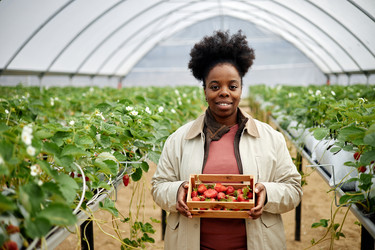 Similar image 22527920