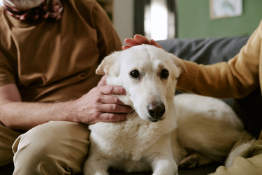 Similar image 22531451