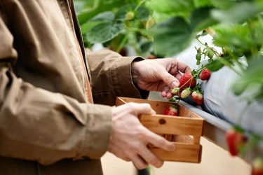 Similar image 22527837