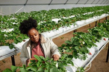 Similar image 22527876