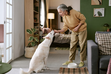 Similar image 22531503