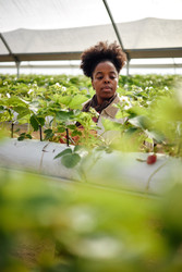 Similar image 22527906