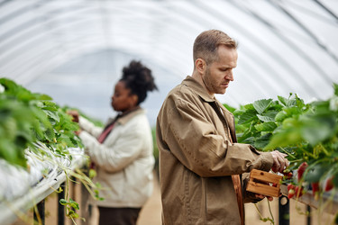 Similar image 22527833