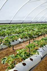 Similar image 22527804