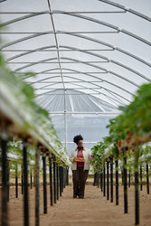 Similar image 22527894