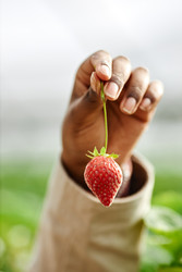 Similar image 22527863