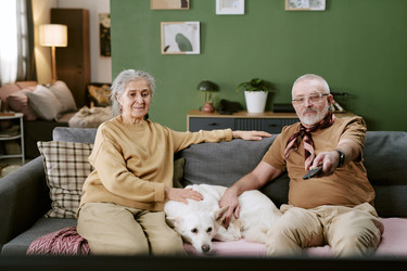 Similar image 22531690