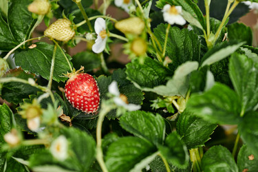 Similar image 22527824