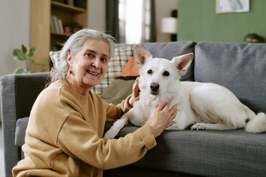 Similar image 22531537