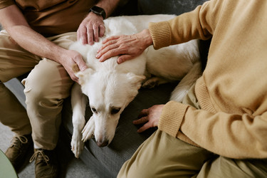 Similar image 22531456