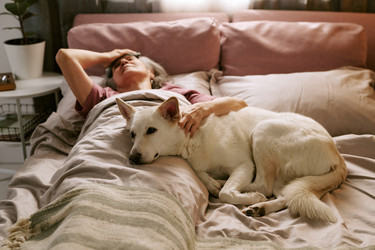 Similar image 22531724