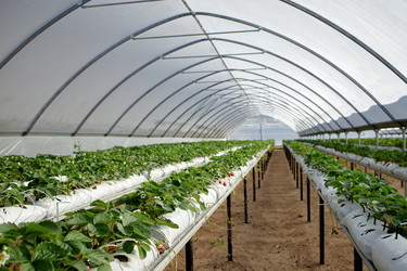 Similar image 22527774