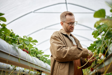 Similar image 22527918