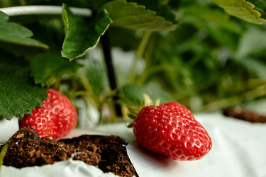 Similar image 22527779