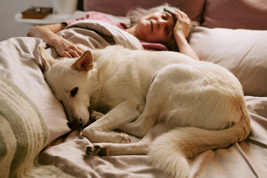 Similar image 22531449