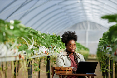 Similar image 22527786