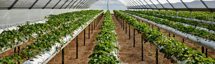 Similar image 22527877